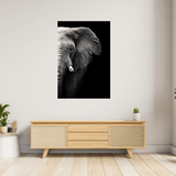 Elephant Half Face Canvas