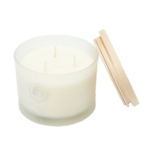 370G Scented Soy Candle - Orange
