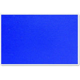 Parrot Felt Board