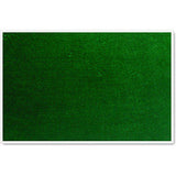 Parrot Felt Board